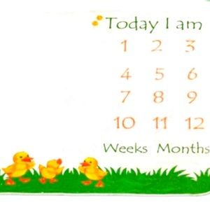 Baby Monthly Milestone Blanket Photo Nursery Baby Shower Gift 47x47, Ducks Theme